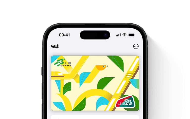 圖片展現(xiàn) iPhone 上錢包 app 中的一張上海交通卡，使用了2025 地球日卡面。