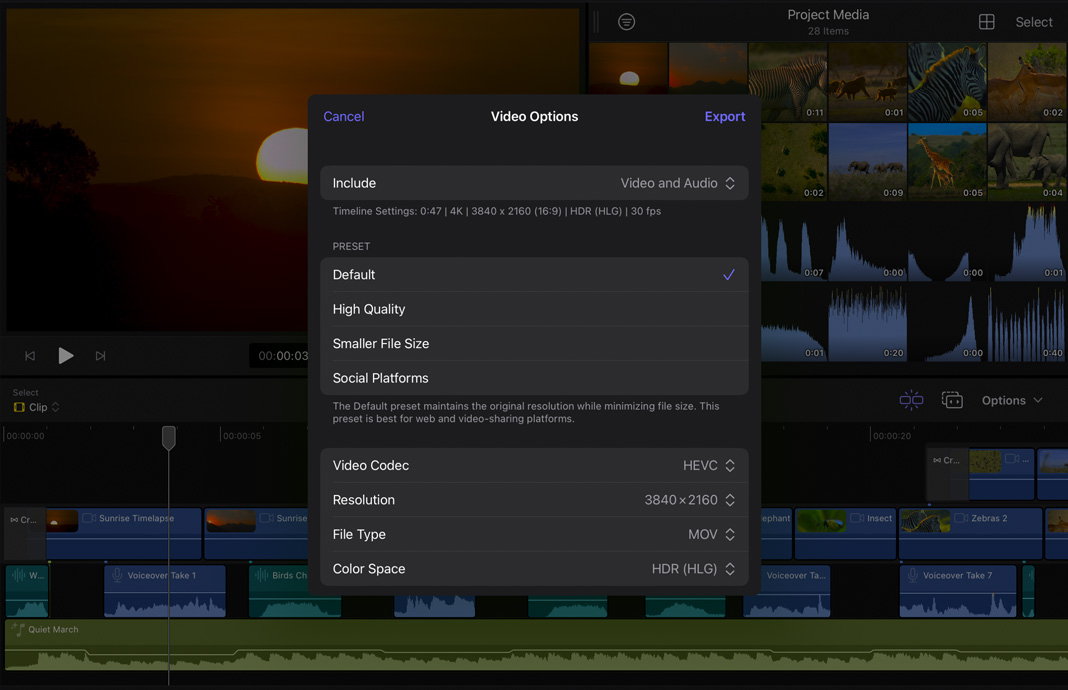 iPad 版 Final Cut Pro 中的一個菜單，展示用于共享或渲染素材的各種預設(shè)選項。