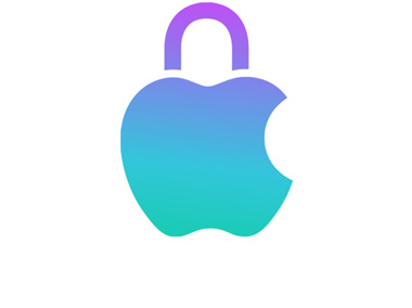 Apple 隱私保護(hù)圖標(biāo)。
