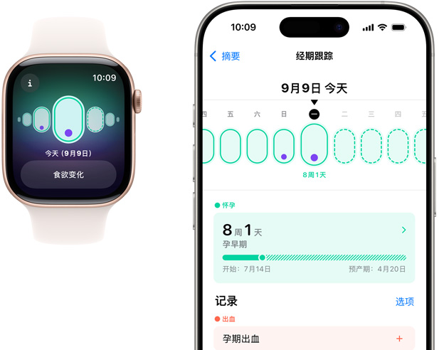 Apple Watch 屏幕顯示孕期情況的記錄，比如食欲變化。iPhone 屏幕顯示經(jīng)期跟蹤 app，展示孕齡和孕期情況的記錄。