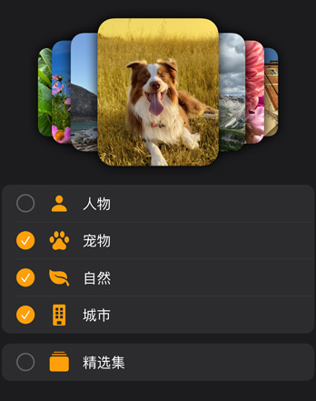 多個(gè) Apple Watch 照片表盤(pán)疊放在篩選菜單上方